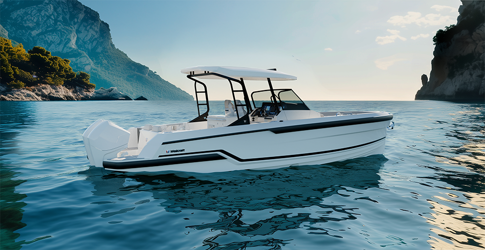 WELLCRAFT  28 T-Top Sport zu verkaufen